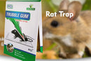 0247 PCI Cardboard Troublegum Small Size Mouse Trap-1pc