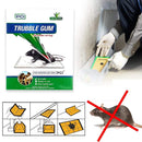 0247 PCI Cardboard Troublegum Small Size Mouse Trap-1pc