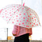 Printed umbrella for men and women