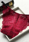 2 pack very  Signature Lace Bikini panties