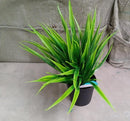 Artificial potted plant with pot, perfect for home decoration.