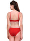 "Elegant" Solid Color Bra Sets ( Pk of 3)