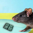 0296 PCI Roban the Rat Killer (Brown) Small - 