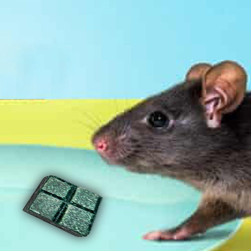 0296 PCI Roban the Rat Killer (Brown) Small - 