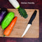 2367 Multipurpose Stainless Steel Fine Edge Knife Set with Perfect Grip Handle for Home Kitchen Knives (Set of 12pc) 