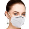 0258  N95 Reusable and Washable Anti Pollution/Virus Face Mask 