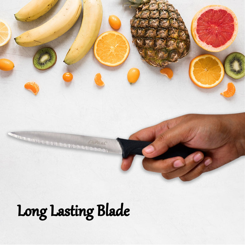 2391 Stainless Steel knife and Kitchen Knife with Black Grip Handle (23.5 Cm ) 