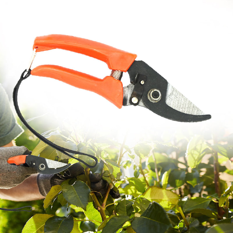 1642 Garden Shears Pruners Scissor - DeoDap