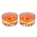 2532 Food Storage Containers with Lids Plastic Containers with Lids BPA Free Airtight Leak Proof Easy Snap Lock Food Container 