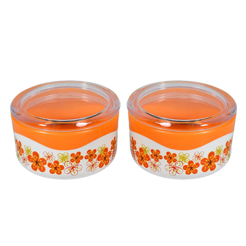 2532 Food Storage Containers with Lids Plastic Containers with Lids BPA Free Airtight Leak Proof Easy Snap Lock Food Container 