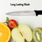 2392 Stainless Steel knife and Kitchen Knife with Black Grip Handle (23.5 Cm) 
