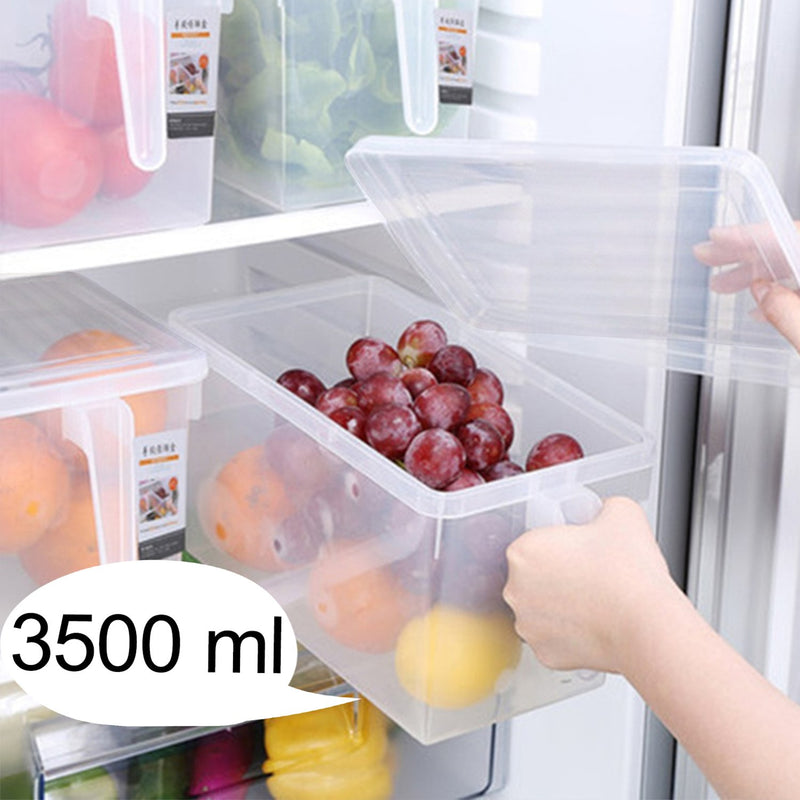 2519 Square Refrigerator Organizer Fresh-Keeping Box Case Kitchen Storage Box - Opencho