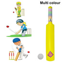 8026 Plastic Cricket Bat Ball Set for Boys and Girls