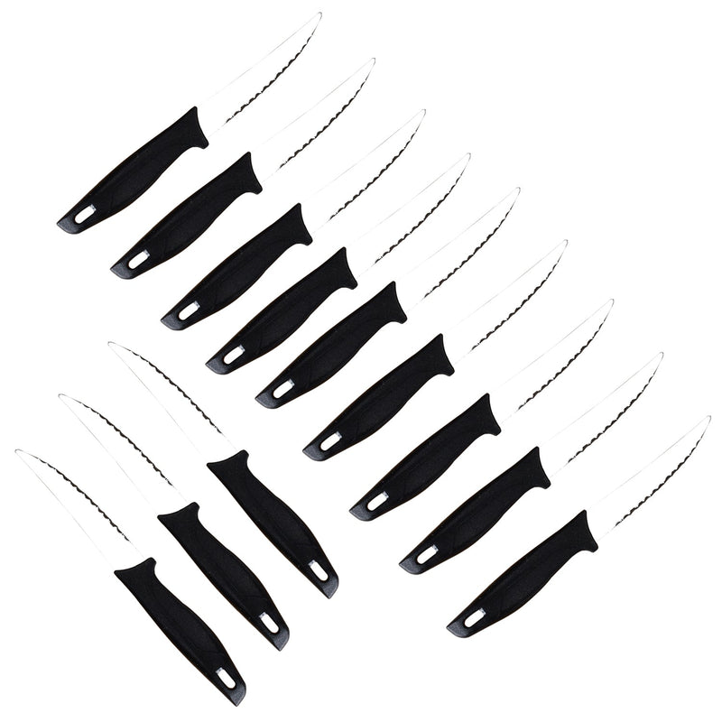 2367 Multipurpose Stainless Steel Fine Edge Knife Set with Perfect Grip Handle for Home Kitchen Knives (Set of 12pc) 