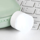 6096 Small USB Bulb used in all kinds of household and official places for room lighting purposes.  