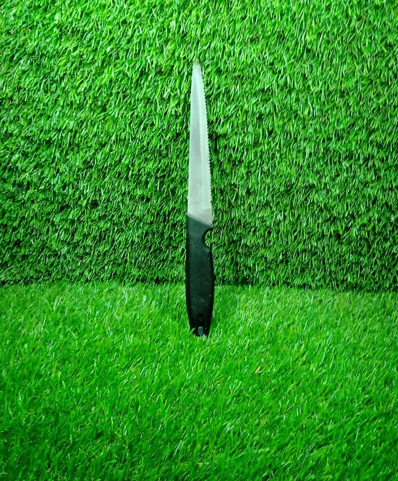 2368 Stainless Steel knife and Kitchen Knife with Black Grip Handle (27.5 Cm ) 