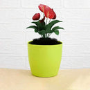 1191 Flower Pots Round Shape For Indoor/Outdoor Gardening - 