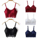 2 pack luxury lace padded bralette