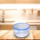 3673 Airtight Food Storage Container with Locking Lids (700 ml)