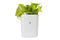 3858 Plastic Vertical Hanging Planter Pot, Multicolour, - 