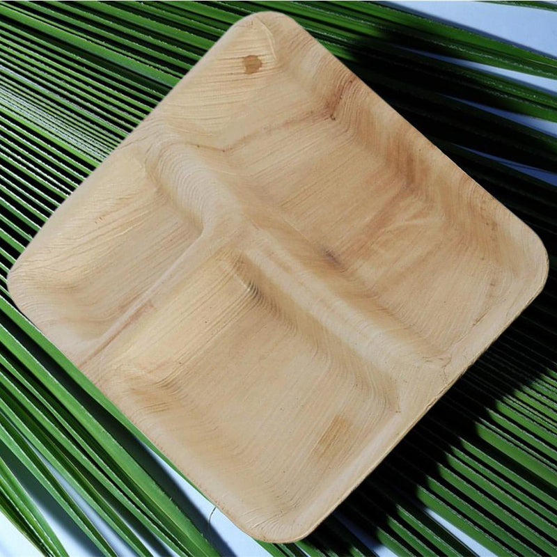 3220 Disposable Square Shape Eco-friendly Areca Palm Leaf Plate (10x10 inch) (pack of 25) - 