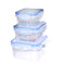 3657 Multipurpose Airtight Food Storage Containers (Set of 3 pcs)