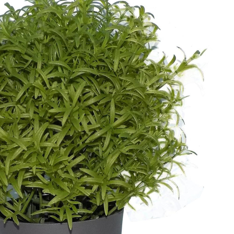 0209 Decoratives -Potted Plastic Artificial Plants