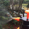 0645 Water Sprayer Hand-held Pump Pressure Garden Sprayer - 2 L - 