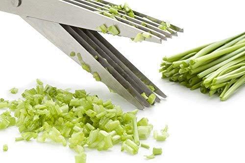 1563 Multifunction Vegetable Stainless Steel Herbs Scissor with 5 Blades 