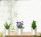 3858 Plastic Vertical Hanging Planter Pot, Multicolour, - 