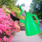 1077 2 in 1 Watering Can with Hand Triggered Sprayer for Plants - DeoDap