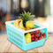4673 Plastic Medium Size Fruit Baskets - Your Brand