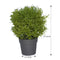 0209 Decoratives -Potted Plastic Artificial Plants