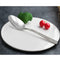 7004 Stainless Steel Big Spoon for Home/Kitchen (Set of 6 Pcs)