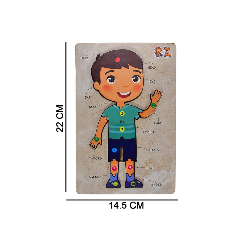 3496 Wooden Boy Body Parts Puzzle with Pictures Body Part Puzzle for Kid Early Education Letters Puzzles for Preschool. 