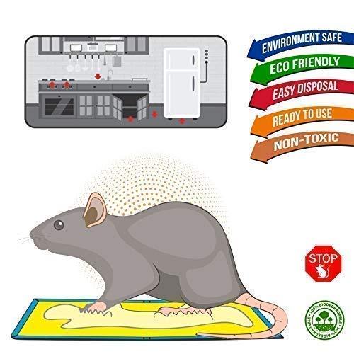 1312 Powerful Rat/Mice Glue Trap (Peanut Butter) - DeoDap