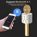 0273 Bluetooth Microphone Player speaker (Karaoke)