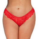 5XL French Daina Signature Lace Thong