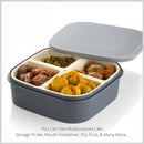 2031H Plastic 4 Sections Multipurpose Dry Fruit/ Chocolates/Mouth Freshener/Sweet Box Set | Serving Tray. 