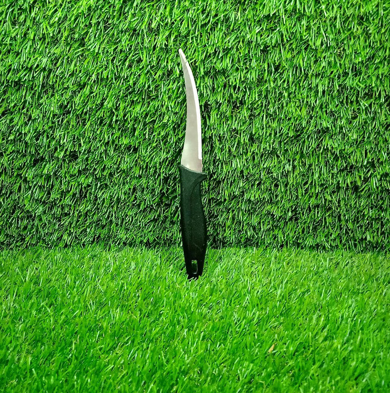 2390 Stainless Steel knife and Kitchen Knife with Black Grip Handle (21 Cm) 