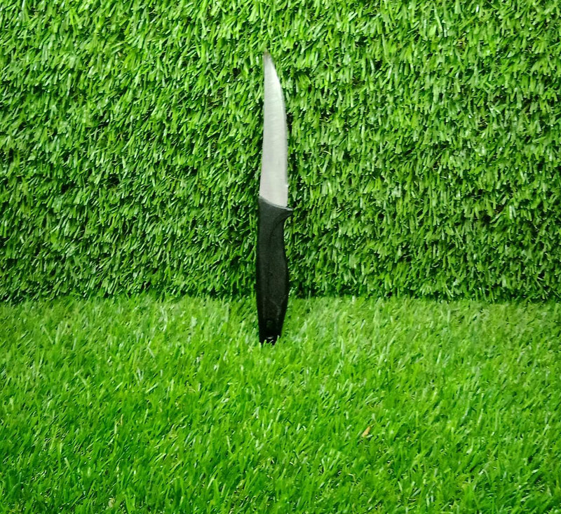2396 Stainless Steel knife and Kitchen Knife with Black Grip Handle (23.5 Cm ) 