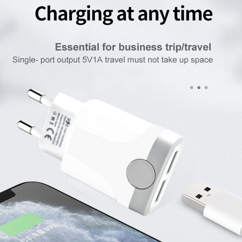 6002 Fast Charging Power Adaptor Without Cable for Devices