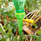 3854 Drip Irrigation kit for Home Garden, Self-Watering Spikes for Plants - 