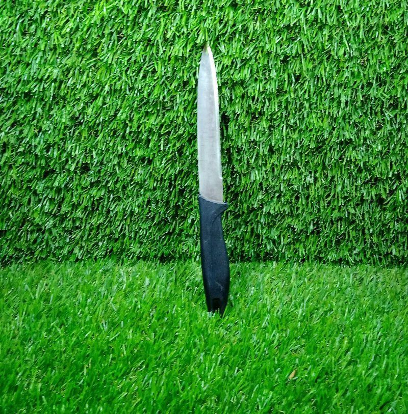 2391 Stainless Steel knife and Kitchen Knife with Black Grip Handle (23.5 Cm ) 