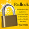1681 Locking Solutions and Systems 7675 Padlock Sherlock Lock - 