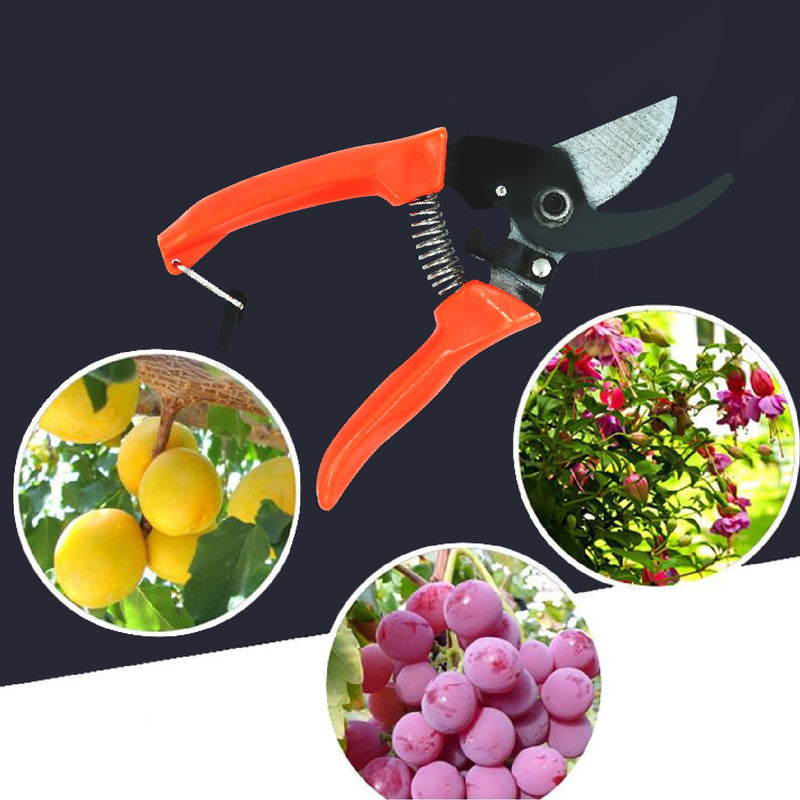 1642 Garden Shears Pruners Scissor - DeoDap