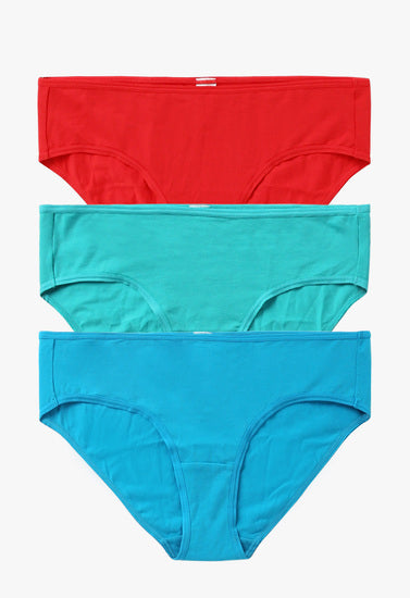 Westren Beauty 3-Pack Plus Size Cotton Panties+ 1 Free Bra
