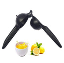 2278 Lemon Squeezer Press with Deep Bowl (Multicolour) - Opencho