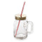 0760 Drinking Cup/Glass/Mug Mason Jar with Handle & Straw