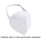 1278 Anti-Pollution Foldable Face Mask Classy White